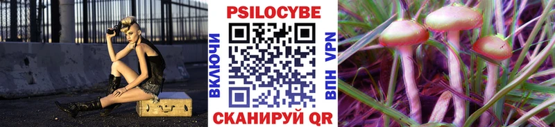 Галлюциногенные грибы Magic Shrooms Талдом